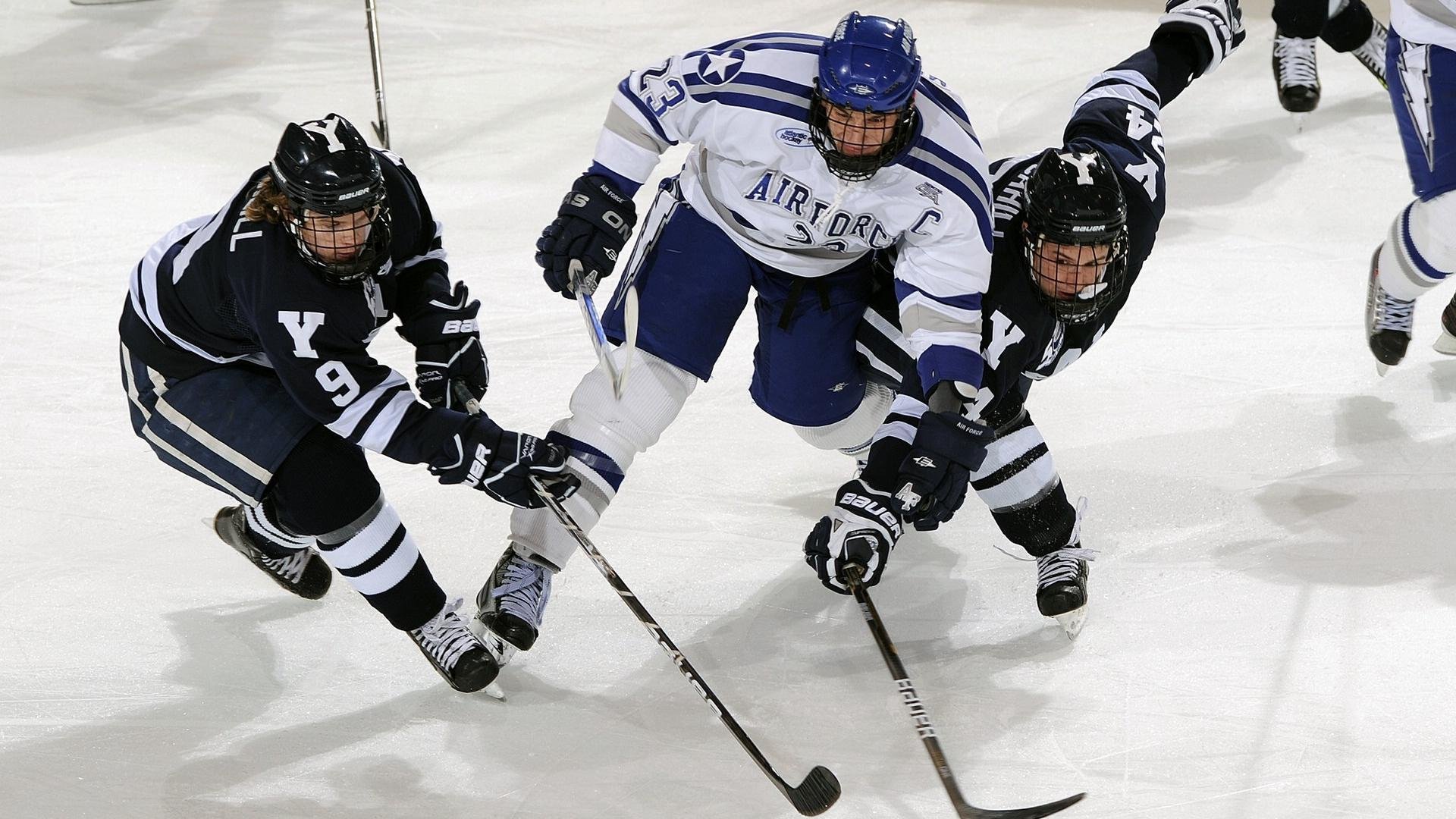 蜂群刺穿骑士铠甲，库里关键先生本色尽显