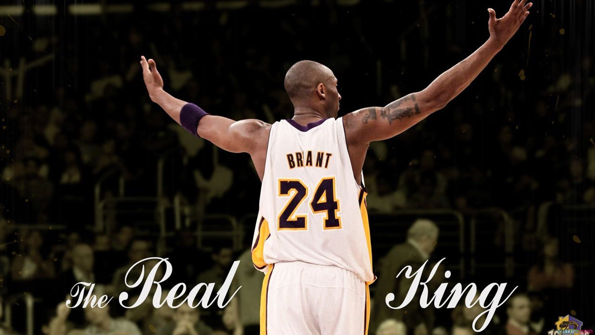 开云体育中国-隔着直播间的虚空击掌，当葡萄牙绝杀韩国遇上林高远的火热弧圈